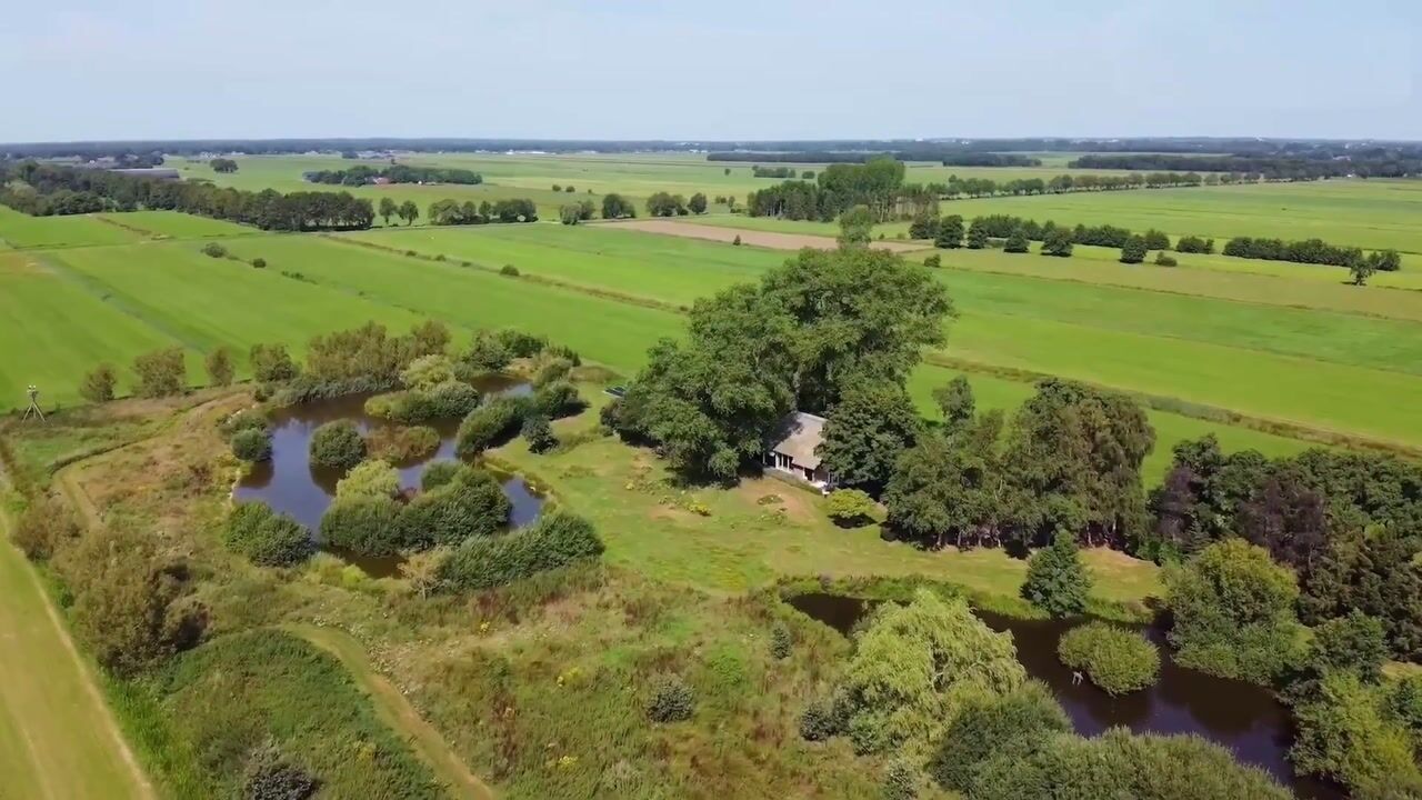Video van Riegshoogtendijk 176