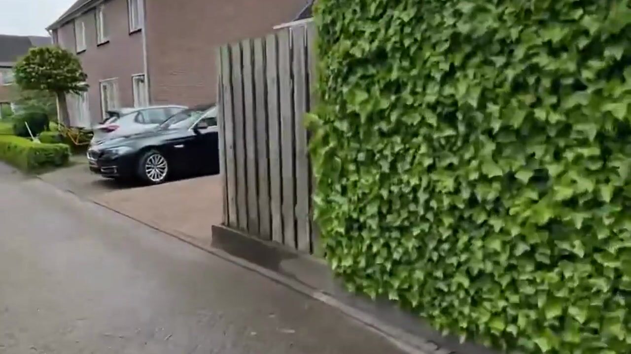 Video van Wildeman 36