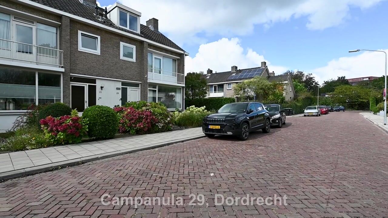 Bekijk video van Campanula 29