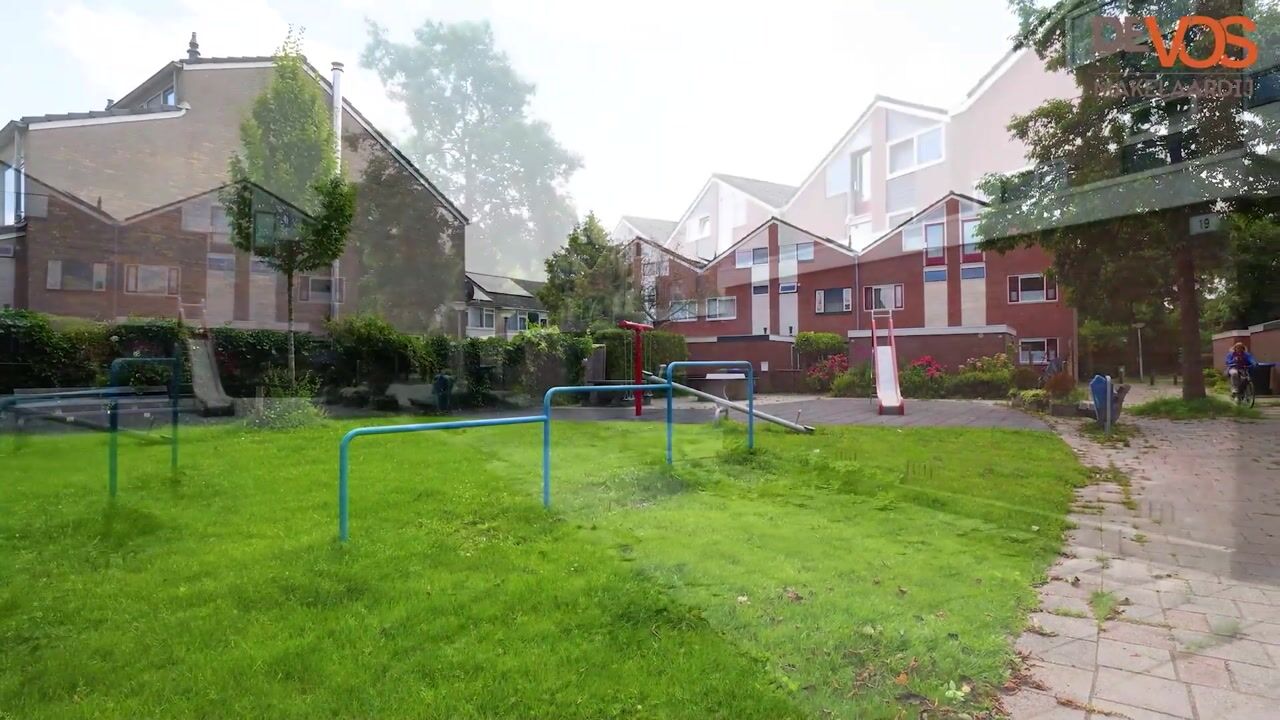 Video van Maagdepalm 19