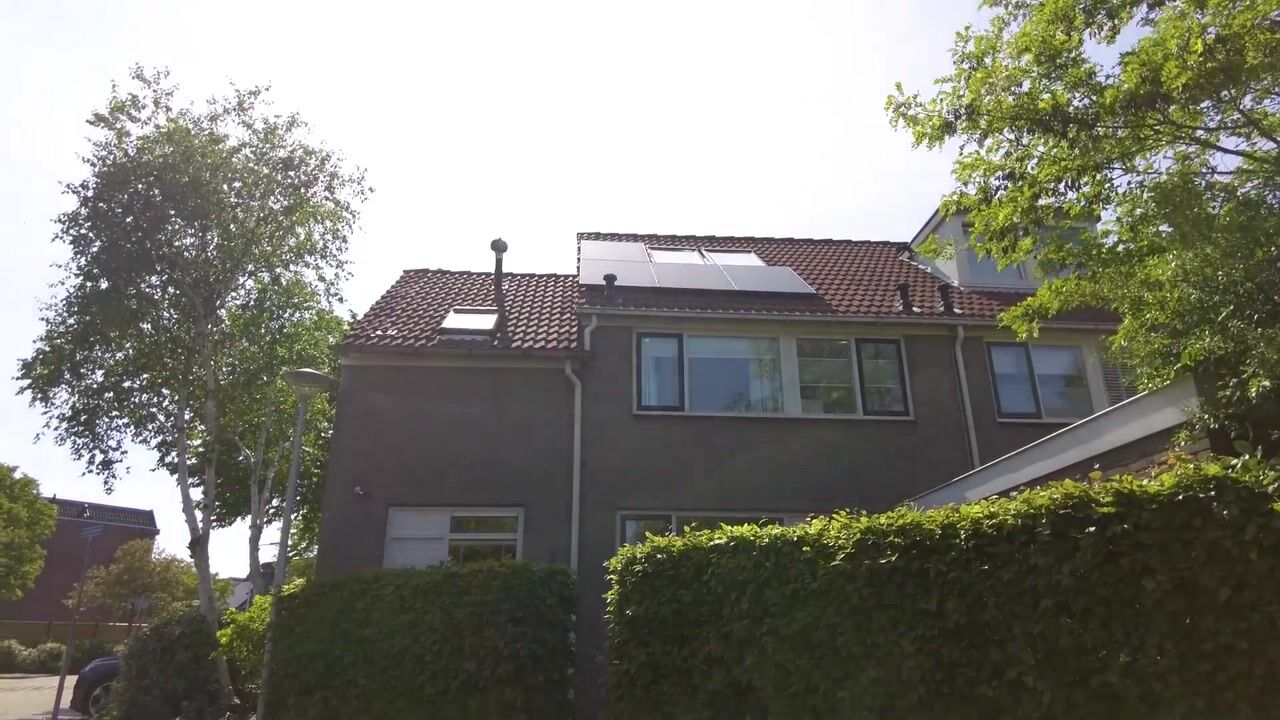Video van van Ostade 1