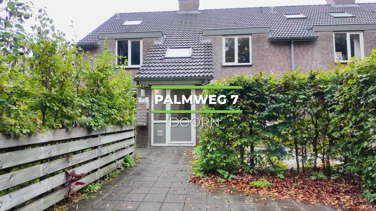 Video van Palmweg 7