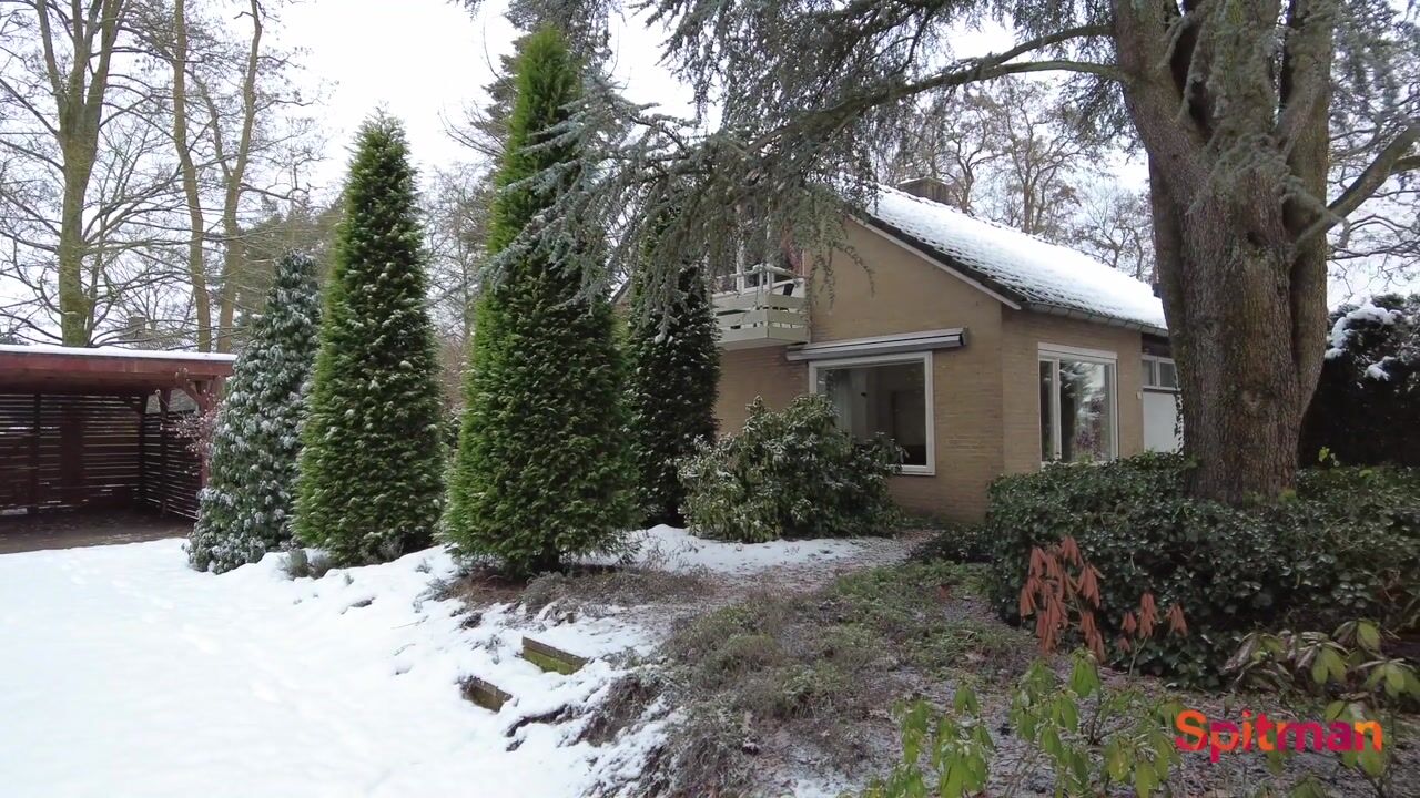 Video van Heidesteinlaan 10