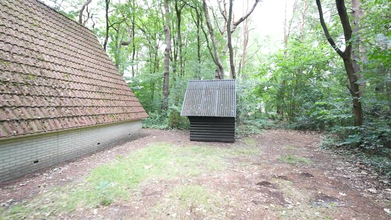 Video of Calluna Oost 45