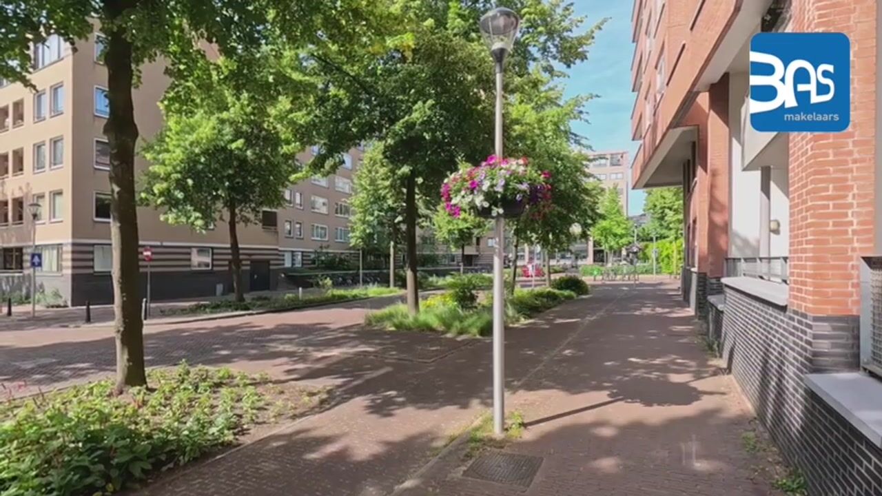 Video van Hartingstraat 230