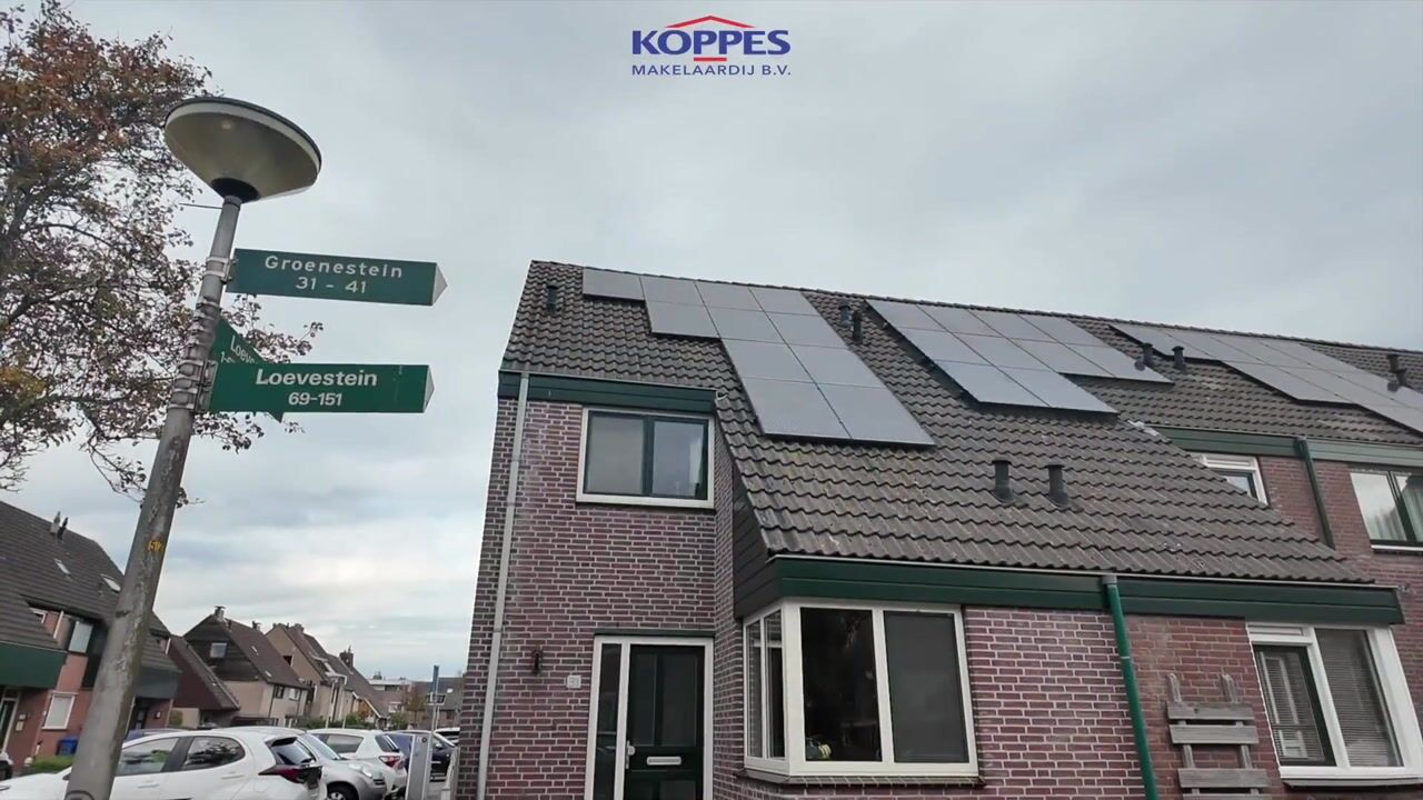 Video of Groenestein 31