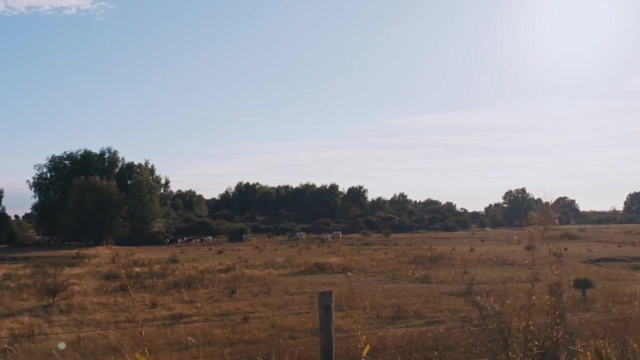 Video van Badhuisweg 1-P