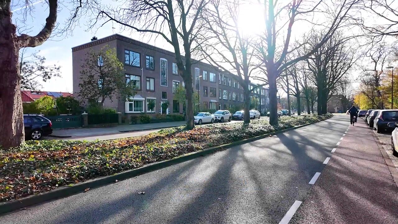 Video of Julianasingel 7-A