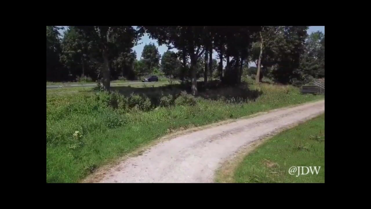 Video van Singel 5