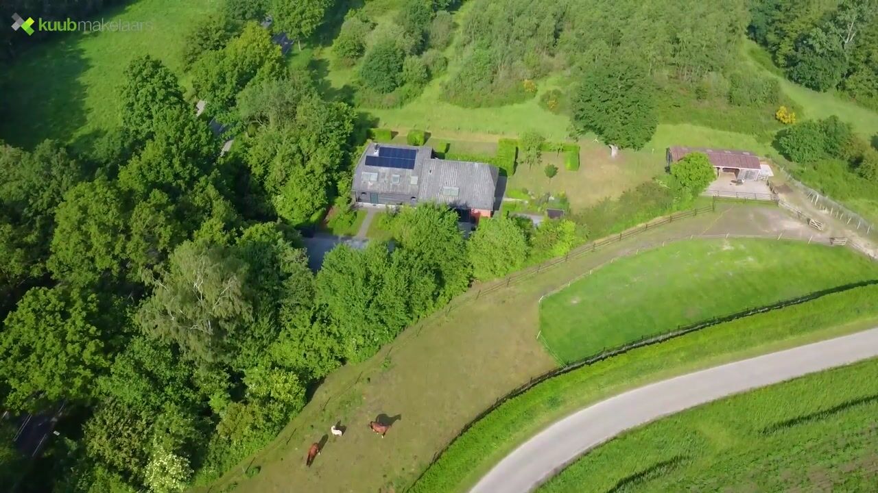 Video van Woestijnestraat 3