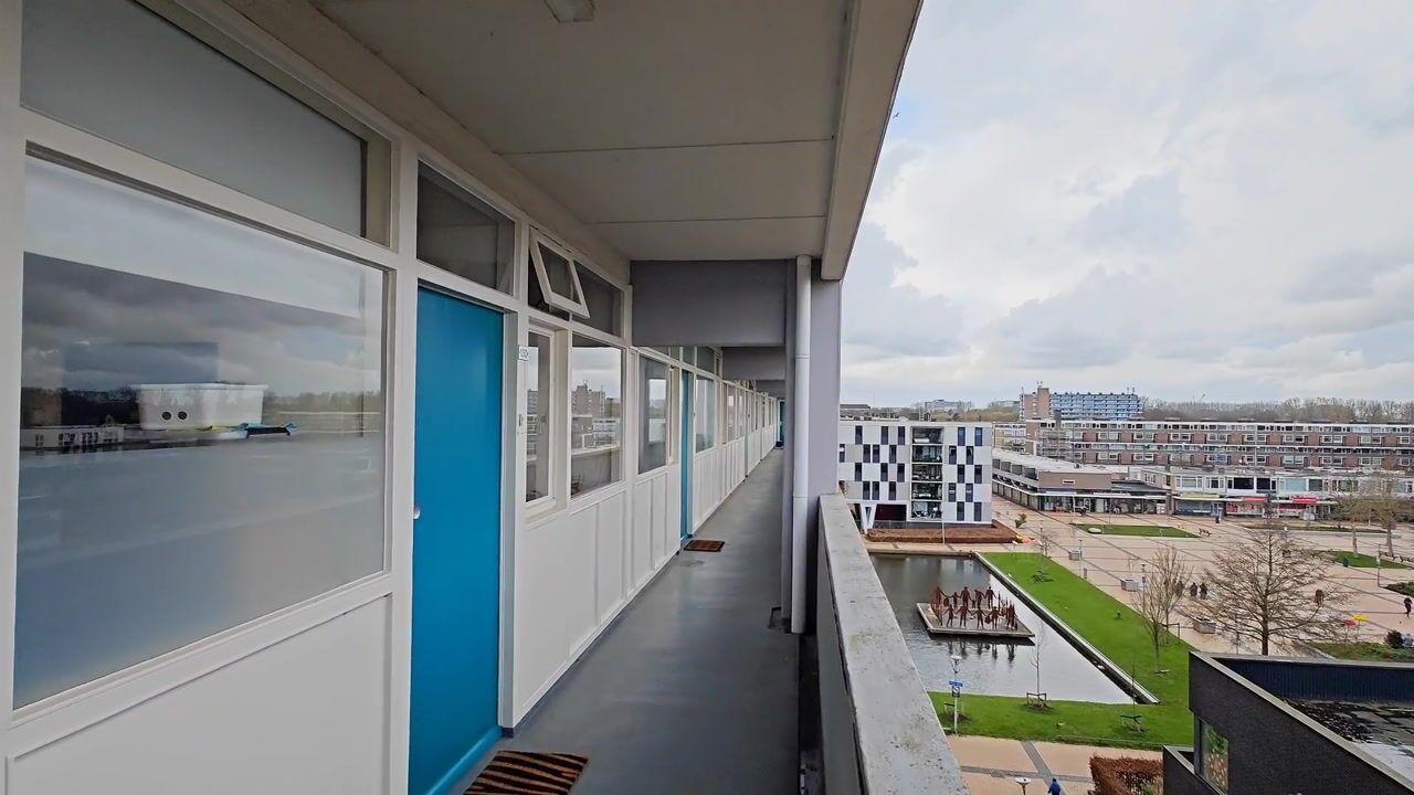 Video of Plein 1953 130