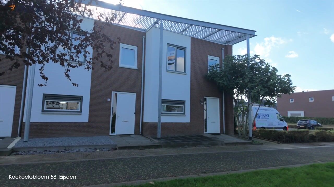 Video van Koekoeksbloem 58