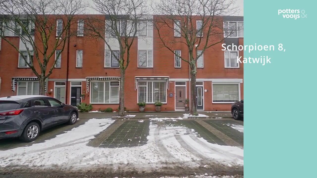 Video van Schorpioen 8