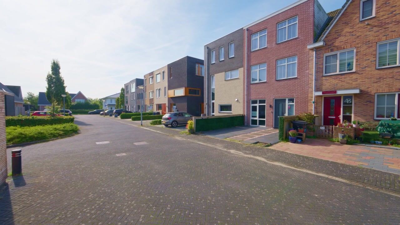 Video van Latijnzeil 50