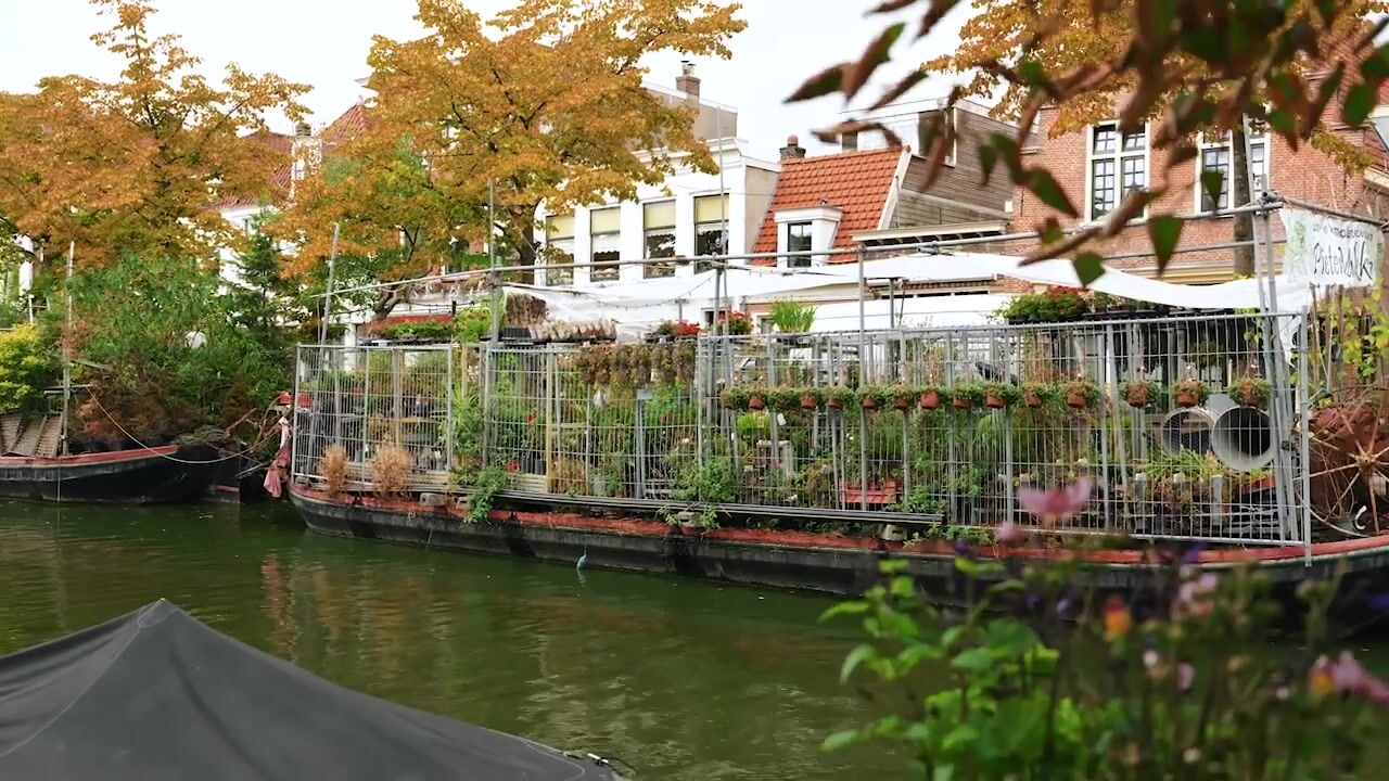 Video van Burgwal 35-A