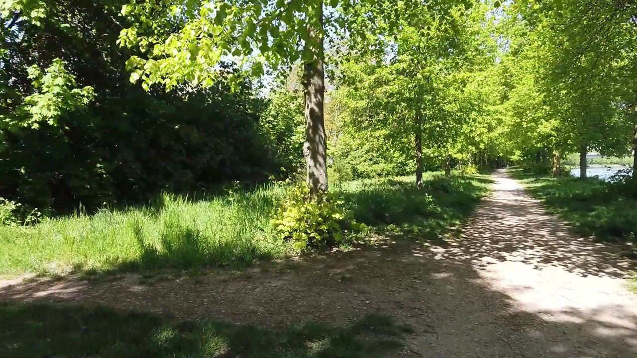 Video van de Hoefkamp 1150