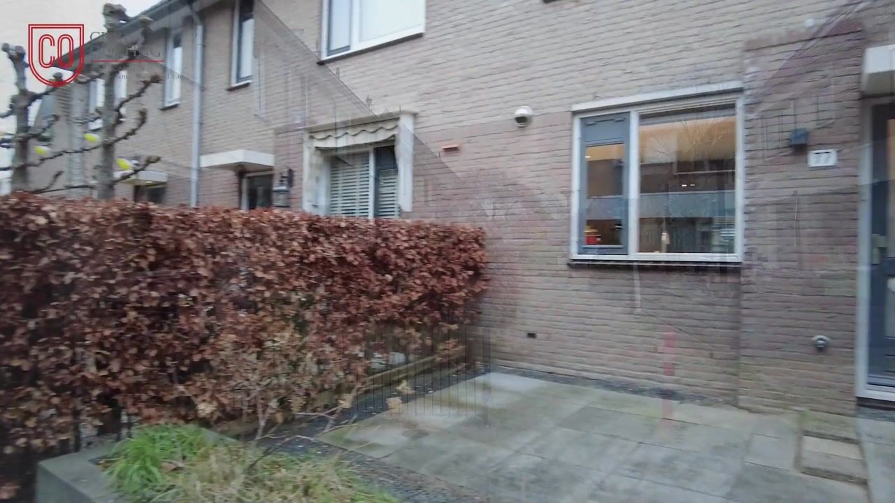 Video van Leeuwetand 77