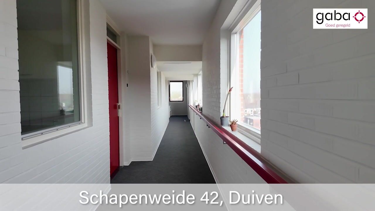 Video van Schapenweide 42