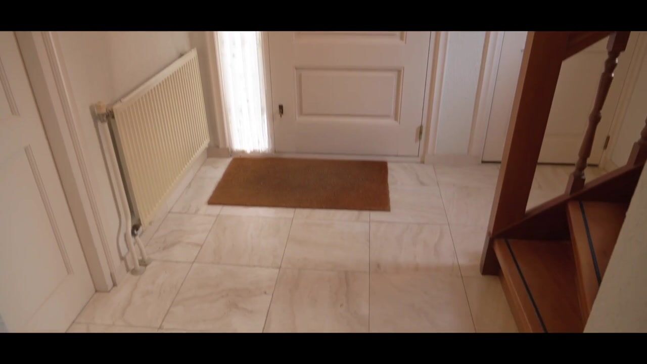 Video of Min. Aalbersestraat 12