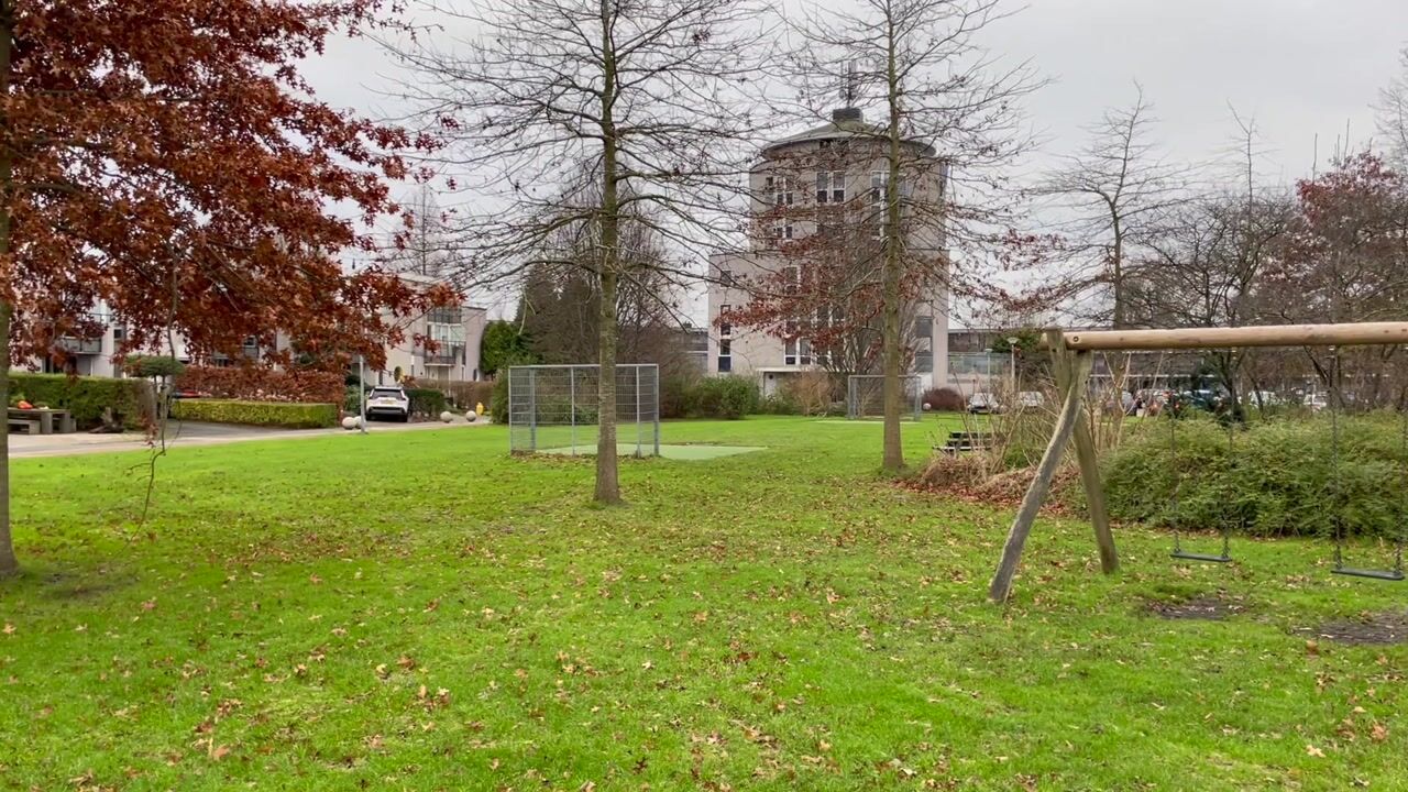 Video van Canadese Gans 43