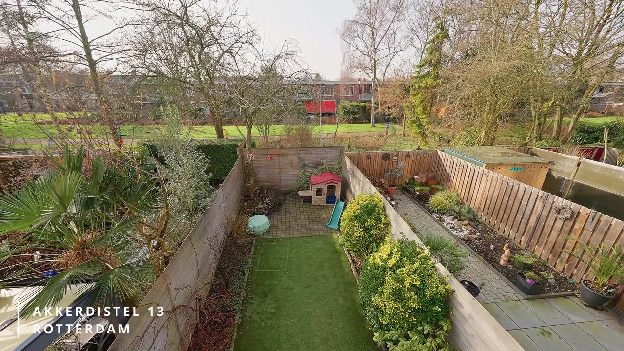 Video van Akkerdistel 13