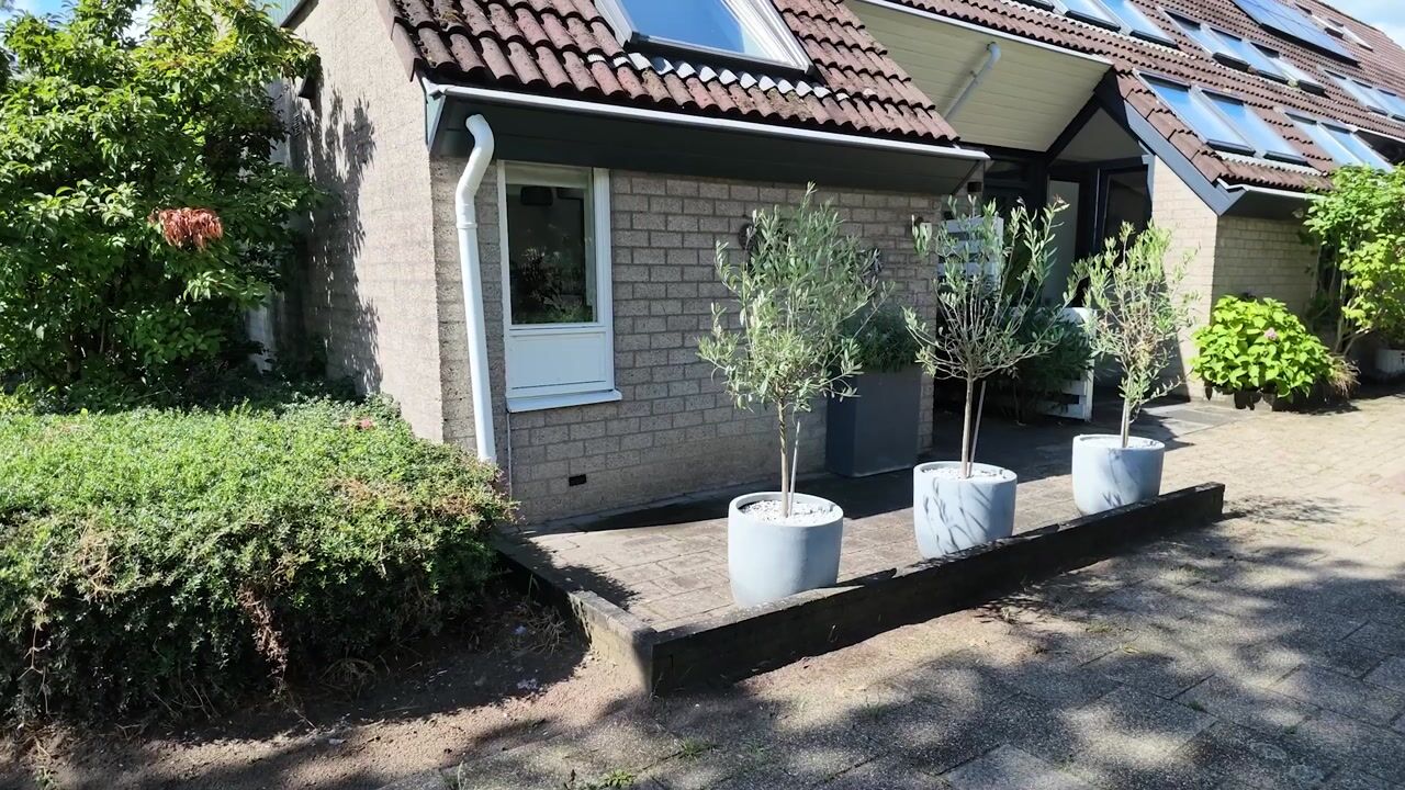 Video van Lange Hille 1