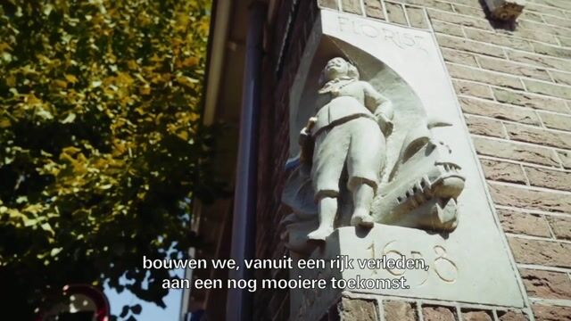 Bekijk video van Hart van Gouwhaven fase 1