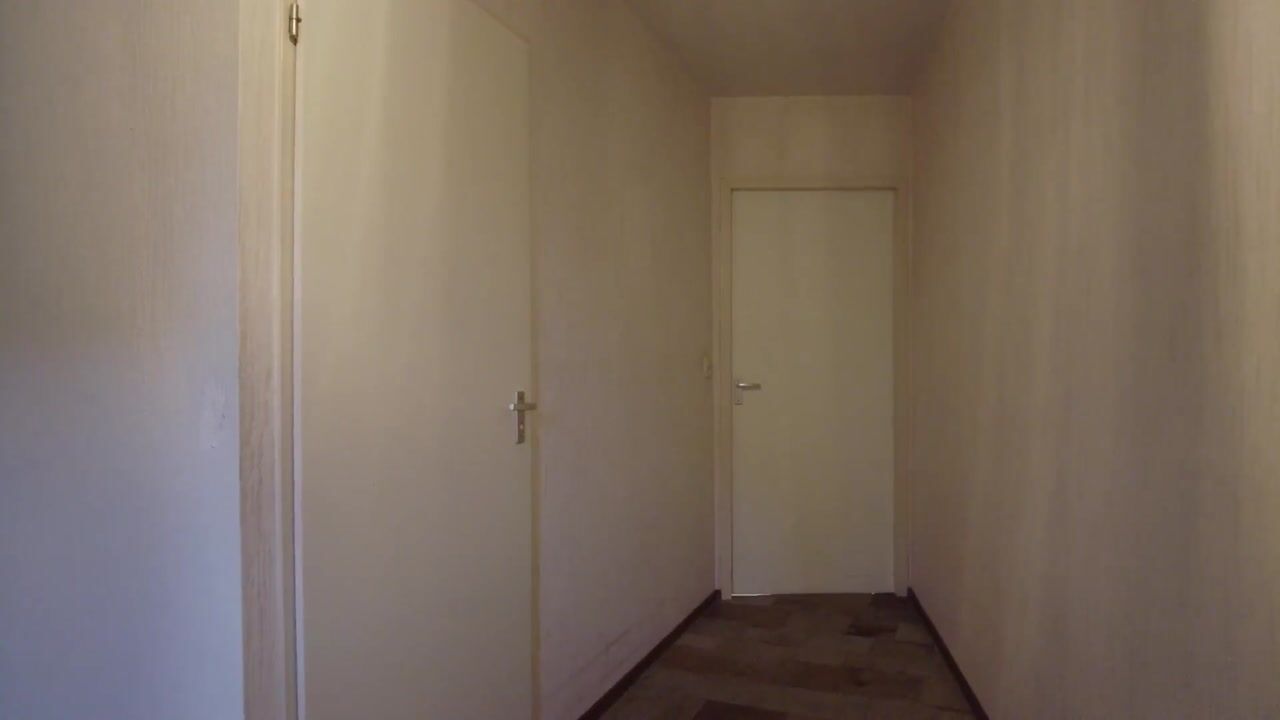 Video van Atlasvlinder 36