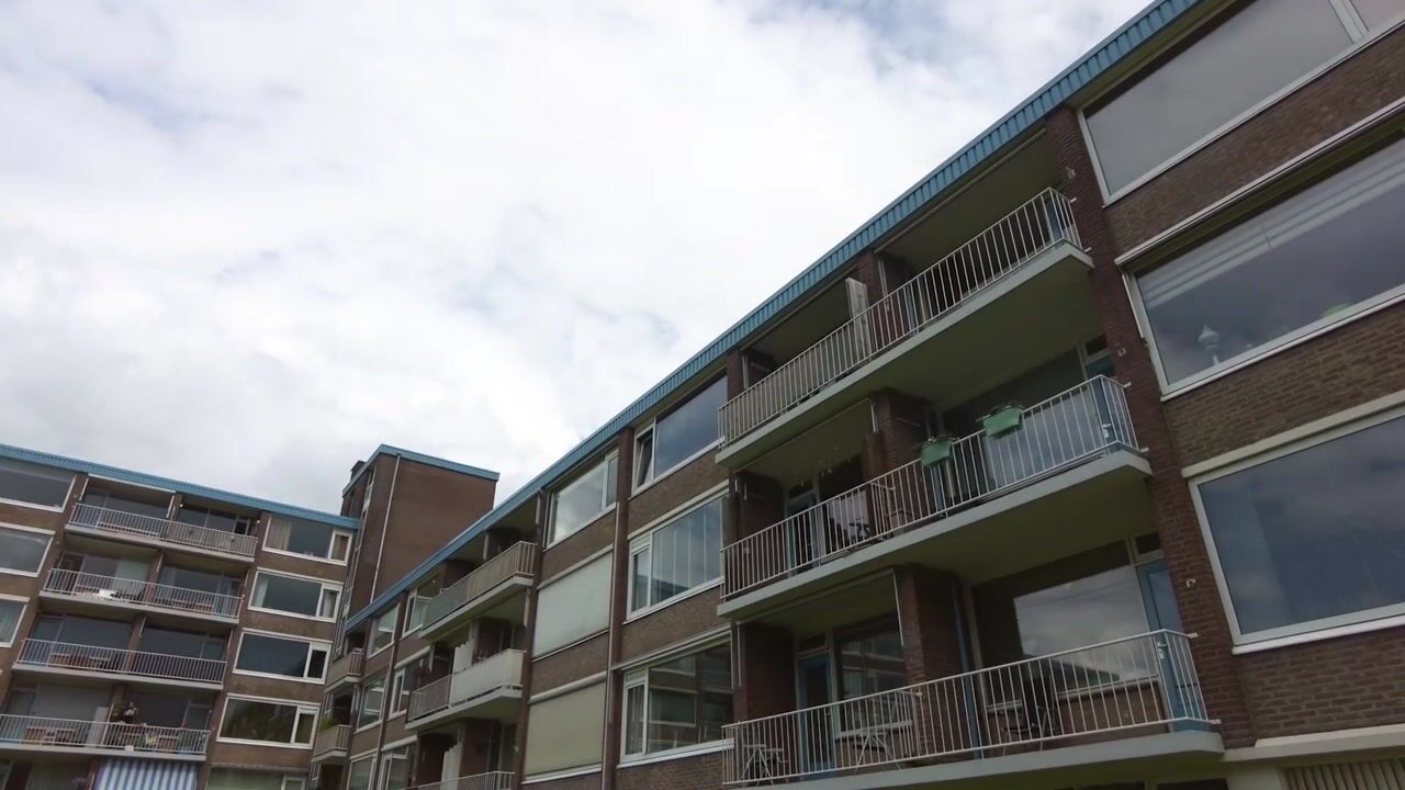 Video van Zwin 23