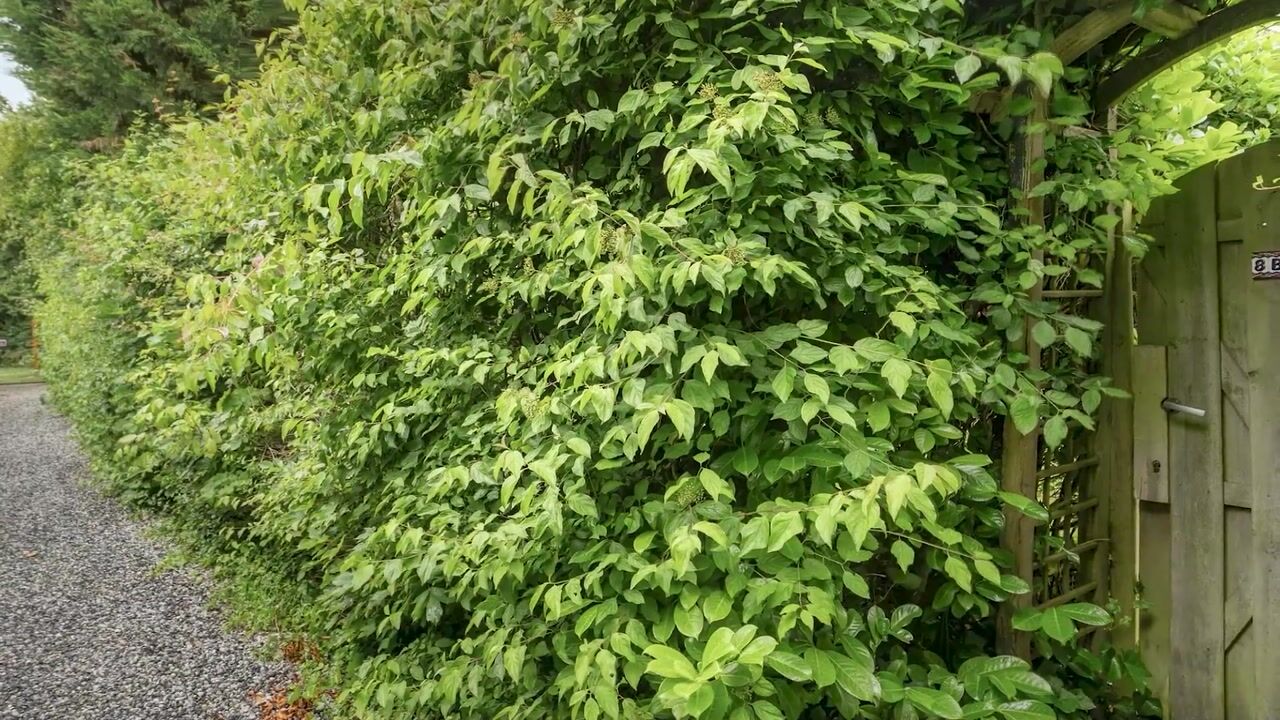 Video van Buitenplaats Herkingen 8-B