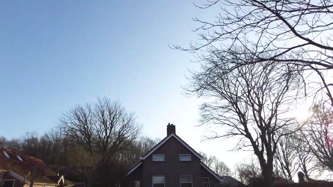 Video van Veenweg 14