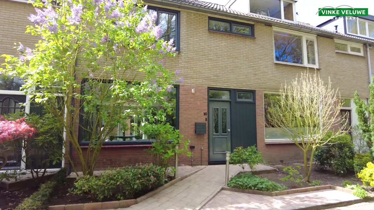 Video van Witwatersrand 16