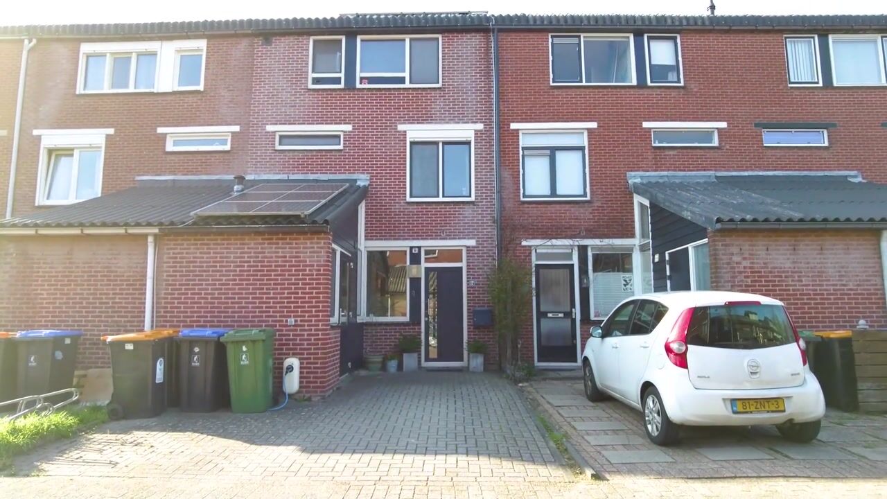 Video of Zebraspoor 17