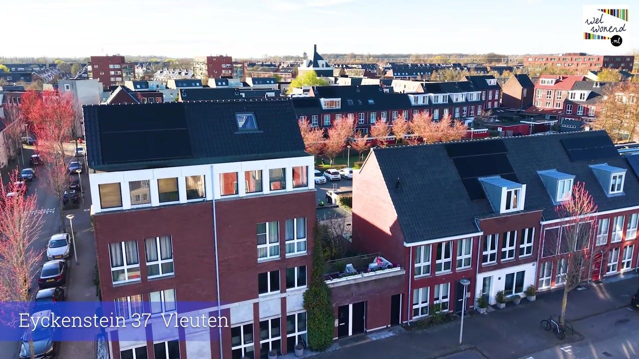 Video of Eyckenstein 37