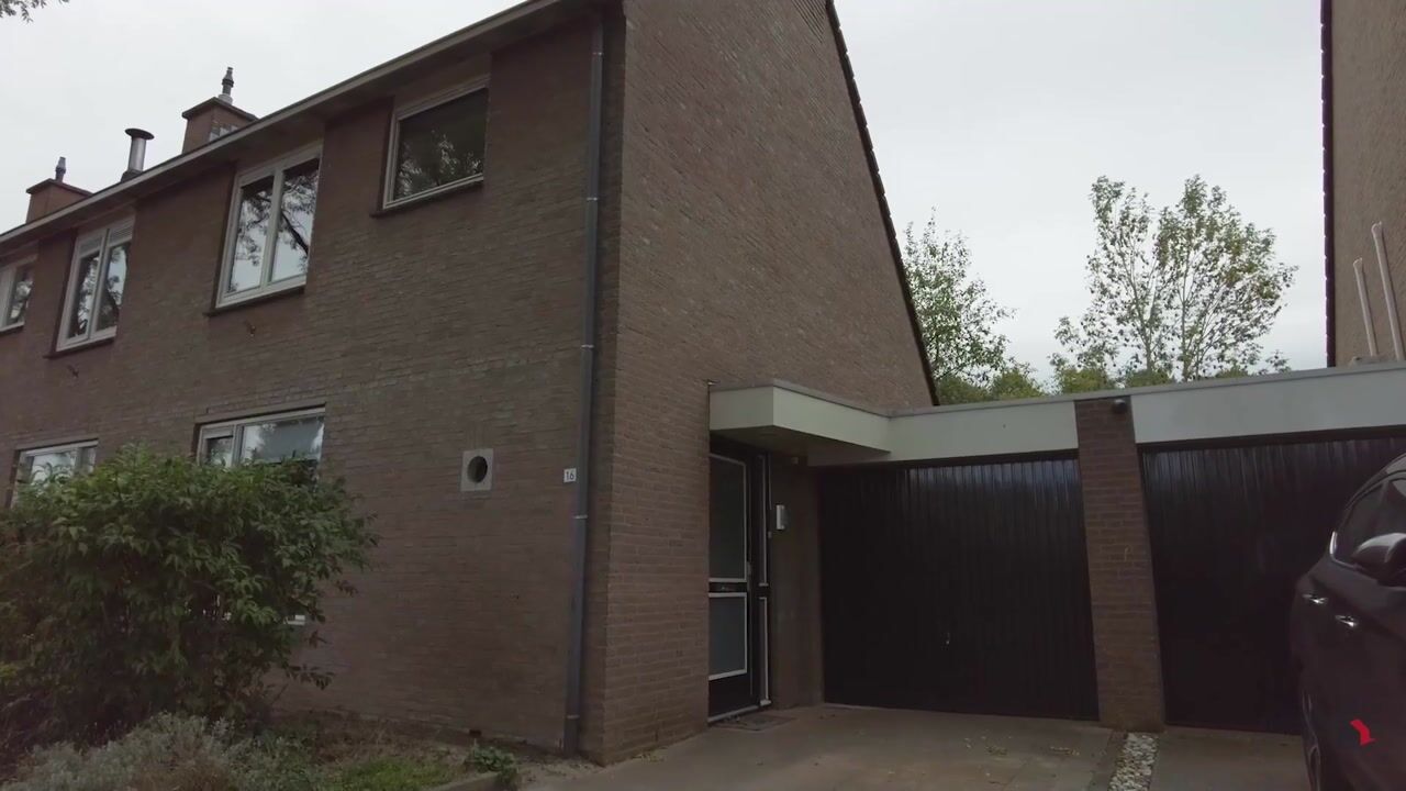 Video of Jeneverbes 16