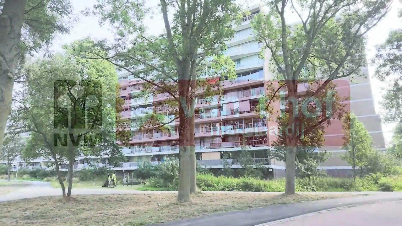 Video van Belvédèrebos 168