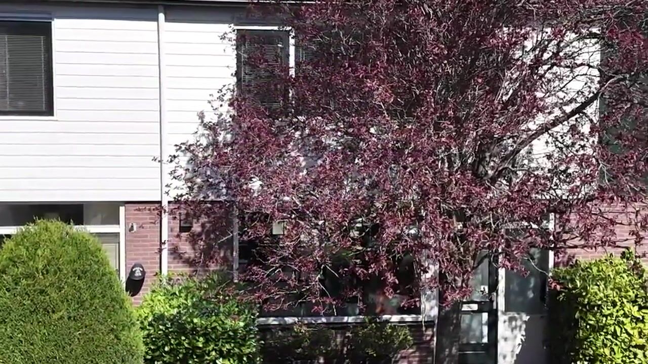 Video of Spechtlaan 20