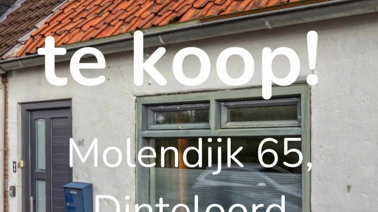 Video of Molendijk 65