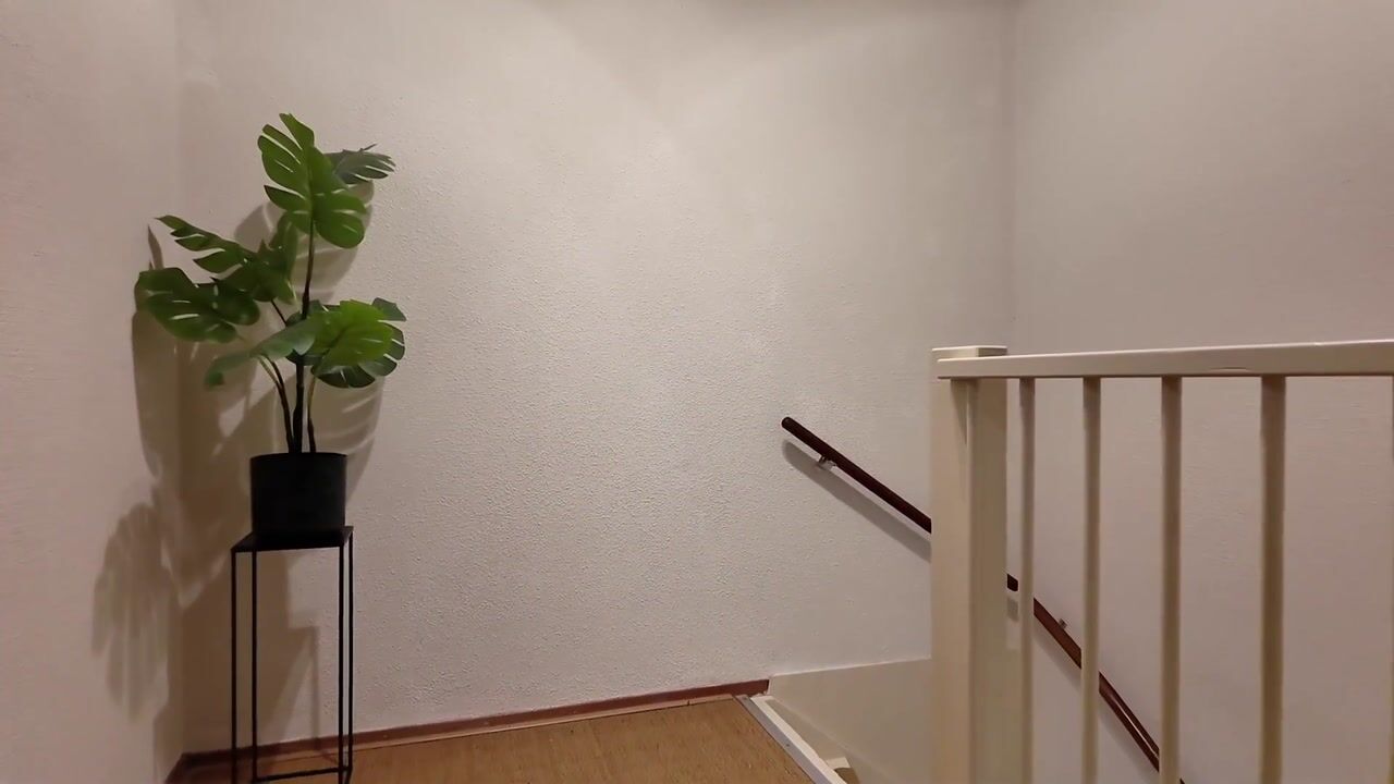 Video van Lammermarkt 148