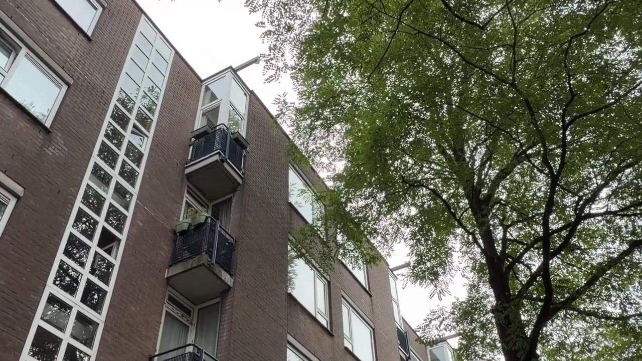 Video van Solostraat 43