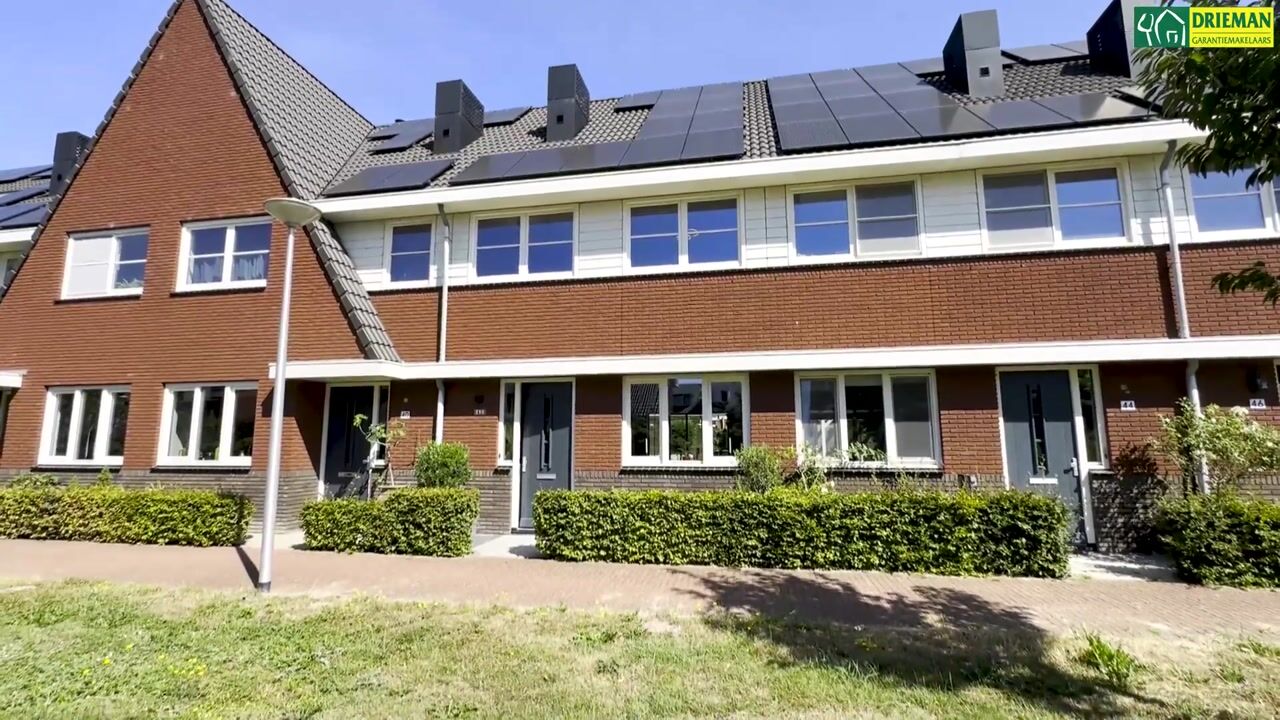 Video of Zilverschoon 42