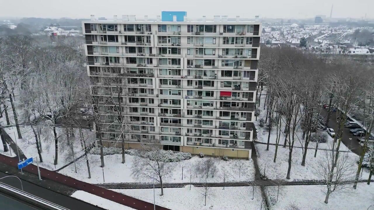 Video van Rachmaninoffplantsoen 23