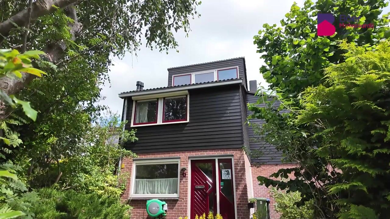 Video van Vogelmuur 1