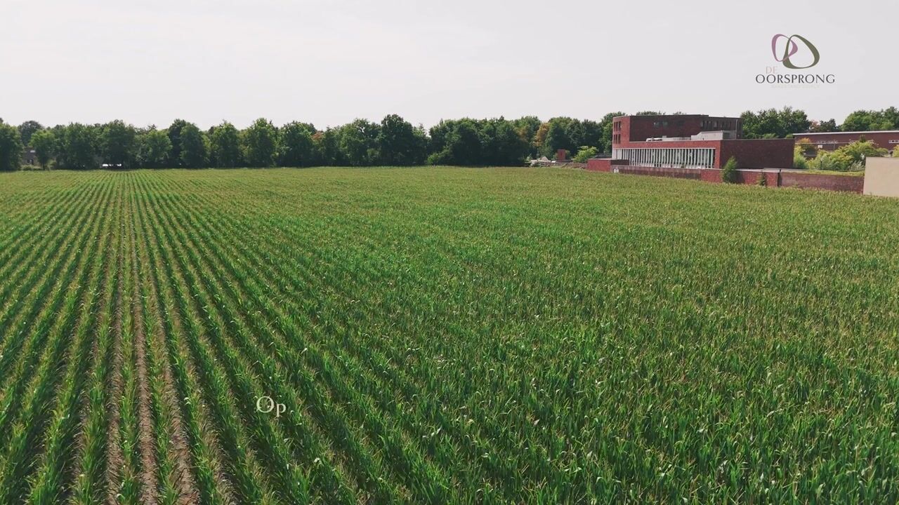 Video of De Oorsprong (Bouwnr. 3)