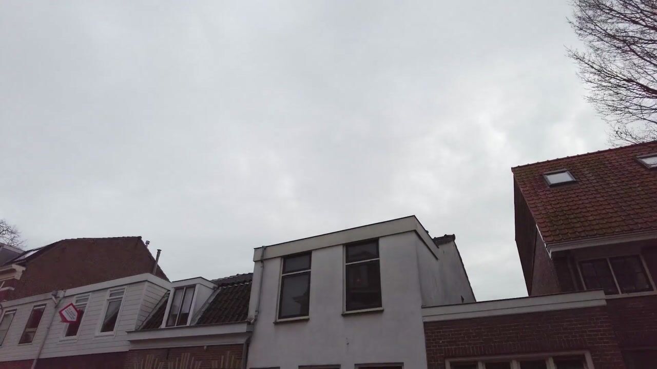 Video of Saenredamstraat 94