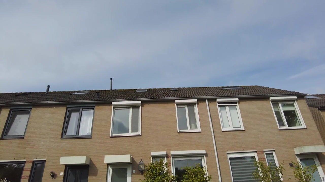 Video van Veldbies 29