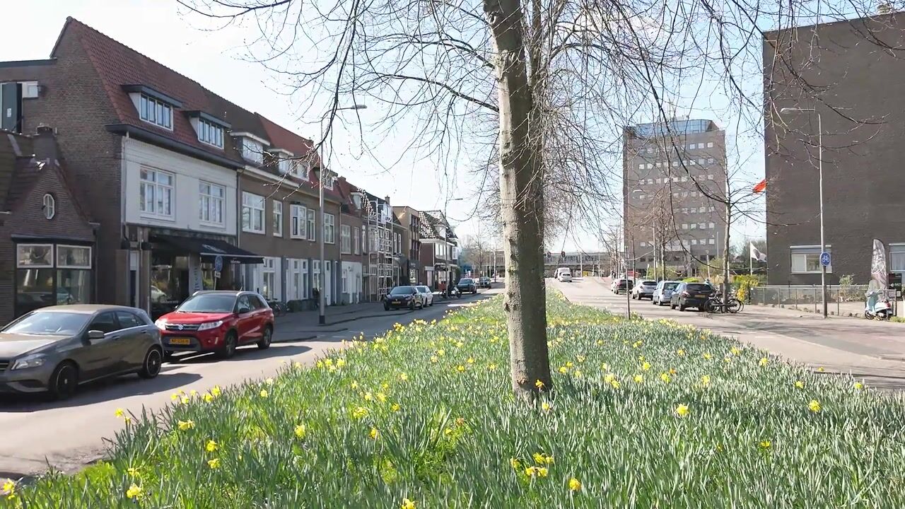 Video of Zandvoortselaan 117