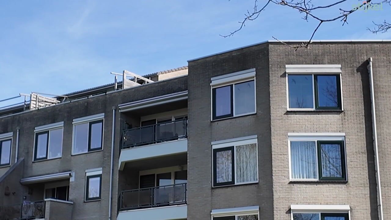 Video van Bokkekamp 52