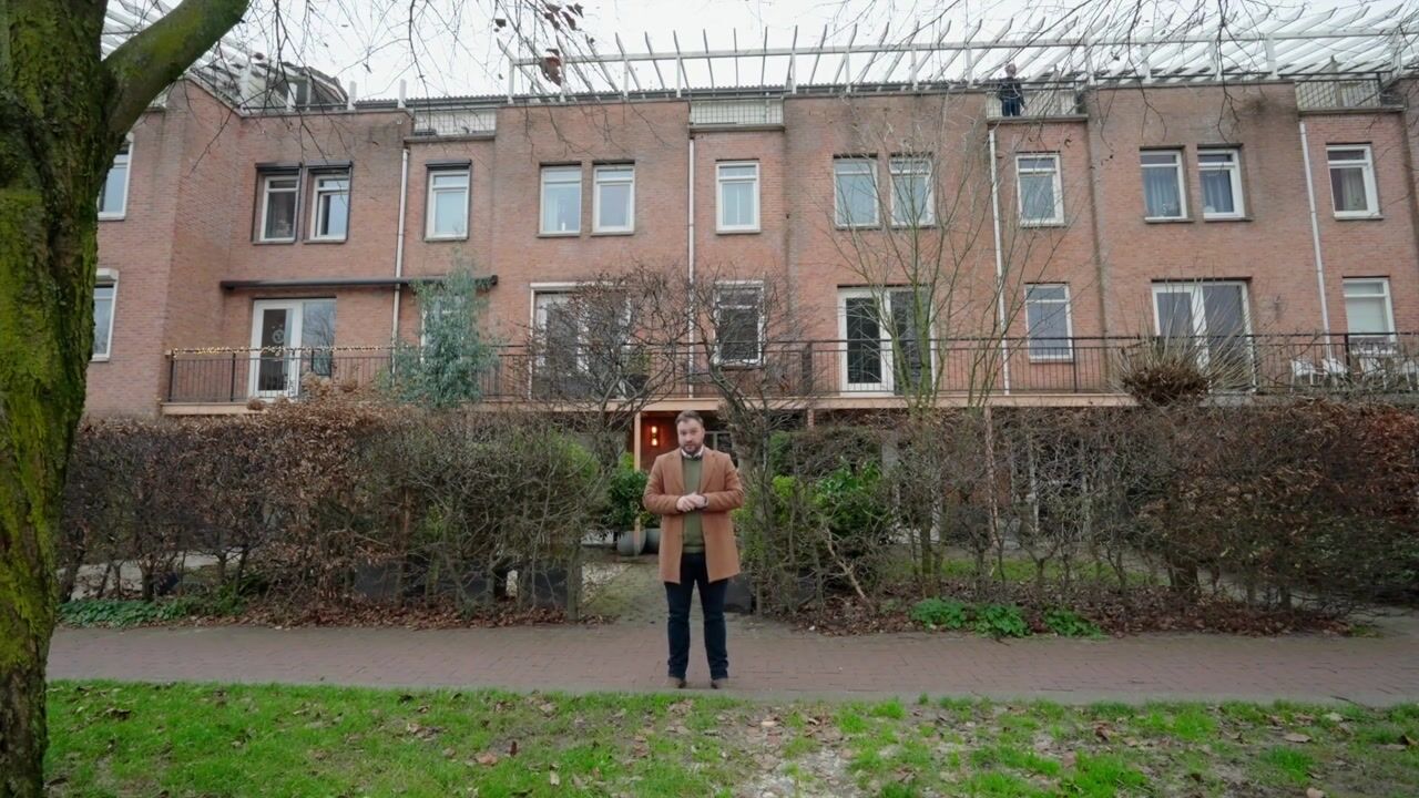 Video of Veldbeemdgras 12