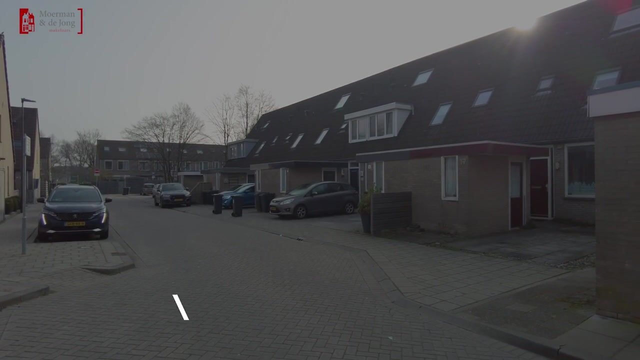 Video van Hovenierstraat 17
